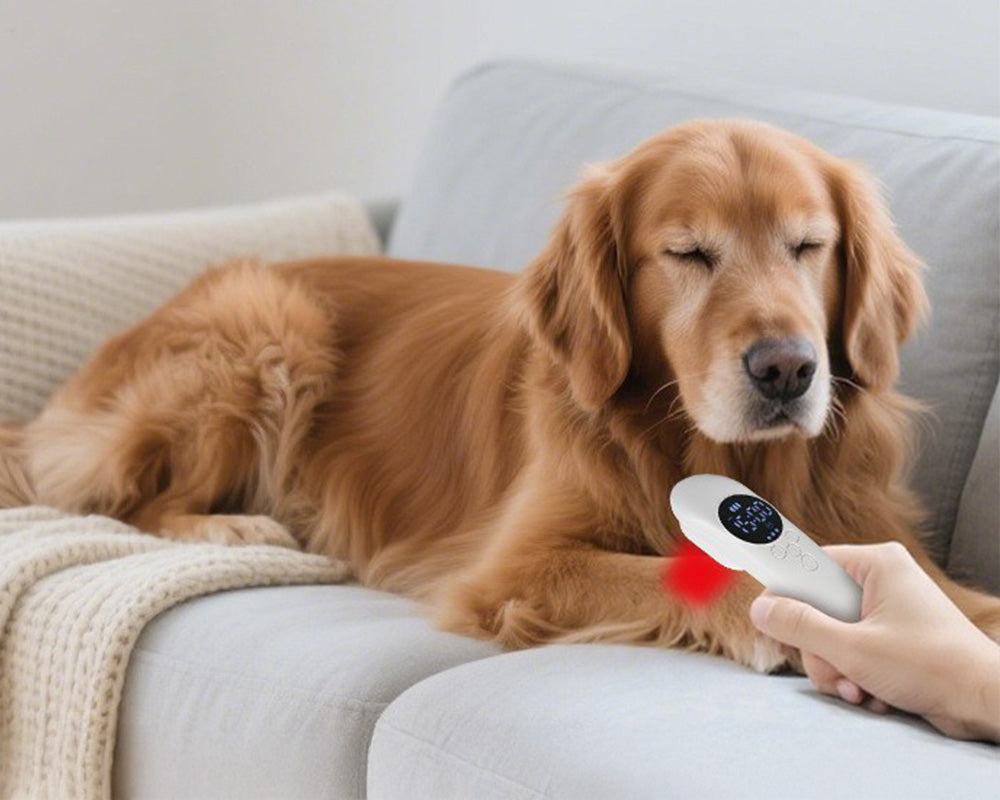 Body Therapy Devices: Revolutionizing Recovery and Pain Relief