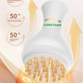Electric Meridian Brush
